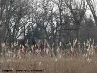 Imagine atasata: Bega - 2015.01.17 - 155.jpg